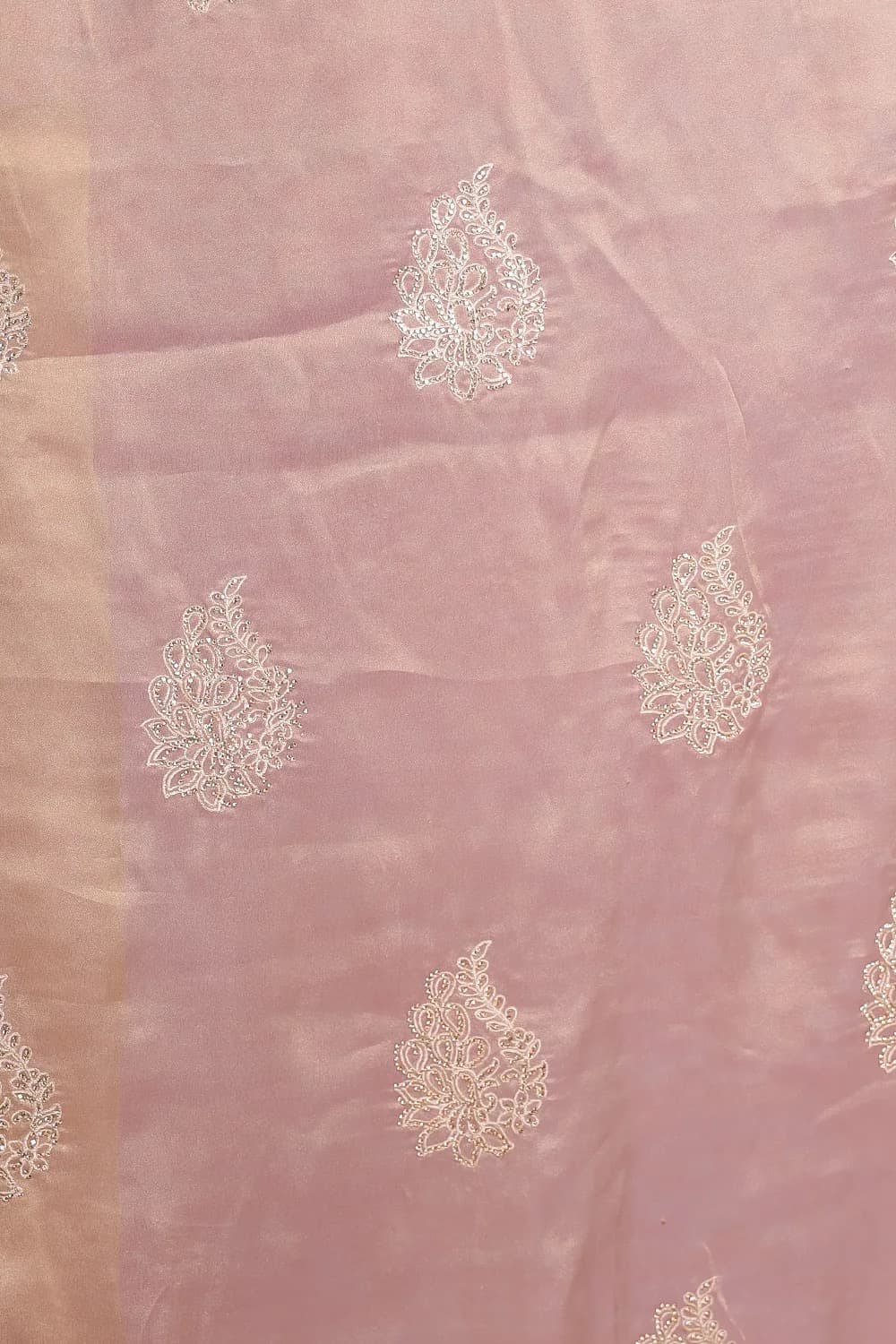 Beige Tissue Organza Saree